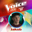 Cover Sounds of Silence (aus "The Voice Kids, Staffel 12") (Finale Live)