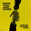Cover Now You Are Gone