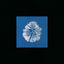 Cover Silk Noise Reflex