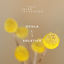 Cover Solstice