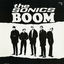 Cover The Sonics Boom