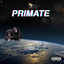 Cover Primate