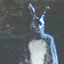 Cover DONNIE DARKO