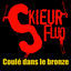 Cover Coulé dans le bronze