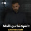 Cover Malli gurbetqarit