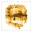 Cover Ocean (Radio Edit)