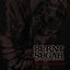 Cover Making Love to the Dark Ages