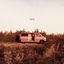 Cover Loose