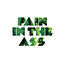 Cover Pain in the Ass