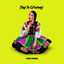 Cover Folk Disco