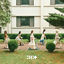 Cover I'LL LIKE YOU