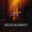 Cover Waldeinsamkeit