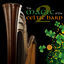 Cover The Magic Of The Celtic Harp 2