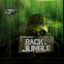 Cover DJ SS Presents: Back to Jungle