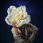 Cover fleur