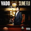 Cover Slime Flu