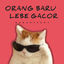 Cover Orang Baru Lebe Gacor