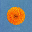 Cover I See