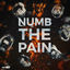 Cover Numb The Pain