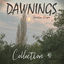 Cover Dawnings: Collection 41