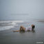 Cover Bailando Bajo La Tormenta