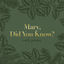 Cover Mary, Did You Know?