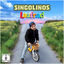 Cover Laufrad