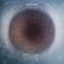 Cover Visage 5 (Floating)