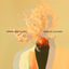 Cover Tempo das Flores