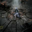 Cover Armageddon