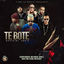 Cover Te Boté (Remix)