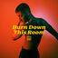Cover Burn Down This Room