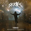 Cover Stranger (Skrillex Remix with Tennyson & White Sea)