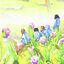 Cover Les Cinq Saisons
