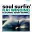 Cover Soul Surfin'