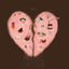 Cover XiOLLY