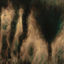 Cover Lamentations