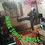 Cover More Songs I Stole