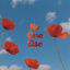 Cover No One Else