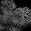 Cover Noir Espace