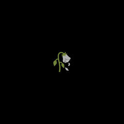''