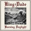 Cover Burning Daylight