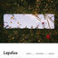 Cover ABOVE_BETWEEN_BELOW