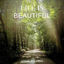Cover Life is Beautiful
