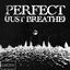 Cover PERFECT (JUST BREATHE)