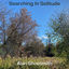 Cover Searching In Solitude