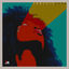 Cover Janesis