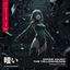 Cover Fracture