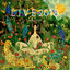 Cover Live 2018