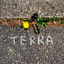 Cover Terra